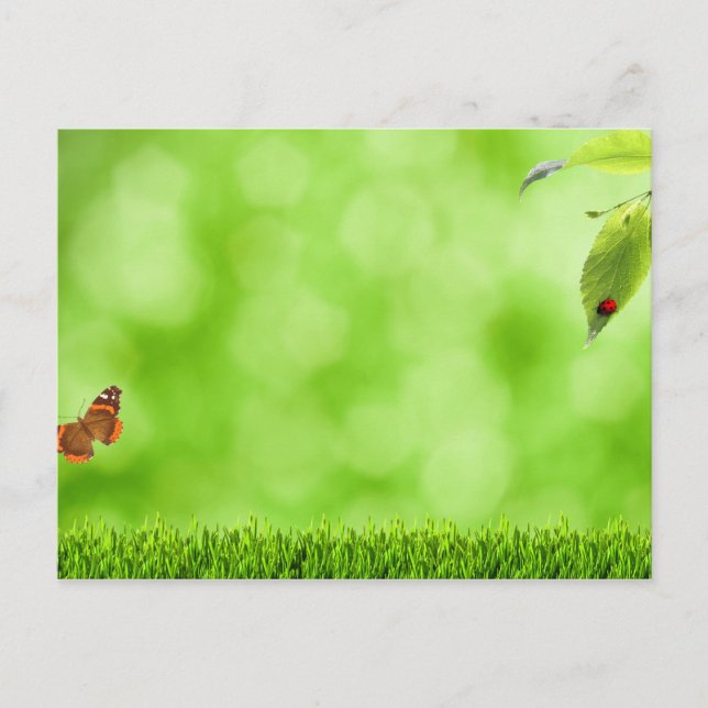 Butterfly & Ladybug over Grass Postcard (Front)