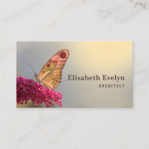 butterfly lepidoptera flower nature business card