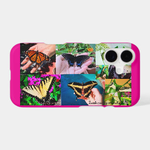 Butterfly Life