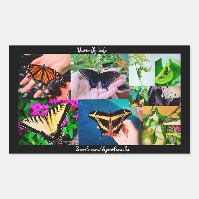 Butterfly Life  Rectangular Sticker (Front)