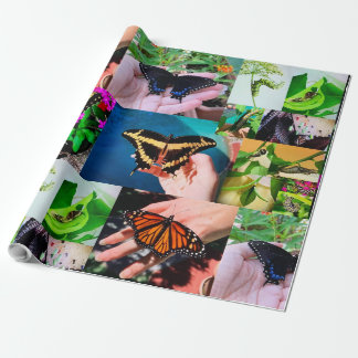 Butterfly Life Wrapping Paper