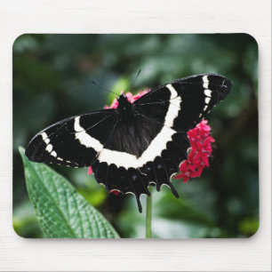 Butterfly Lolipop Mousepad