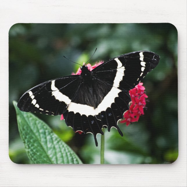 Butterfly Lolipop Mousepad (Front)