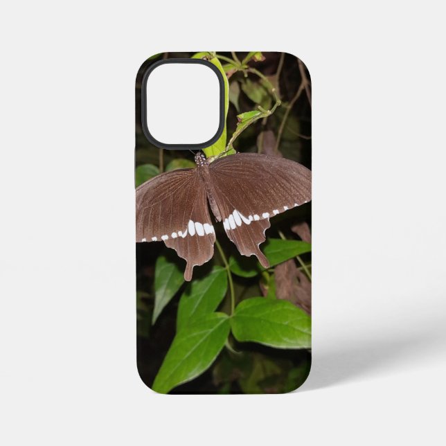 butterfly lover gift iPhone case (Back)