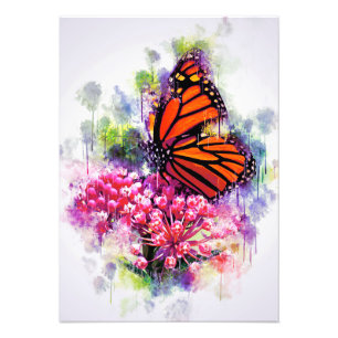 Butterfly Lover Monarch Butterfly Photo Print