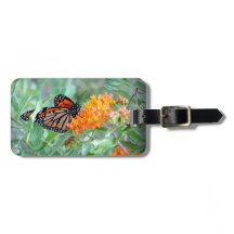 Butterfly Luggage Tag