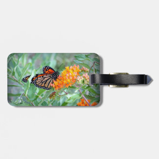 Butterfly Luggage Tag