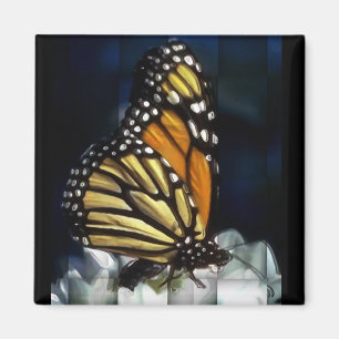 butterfly  magnet