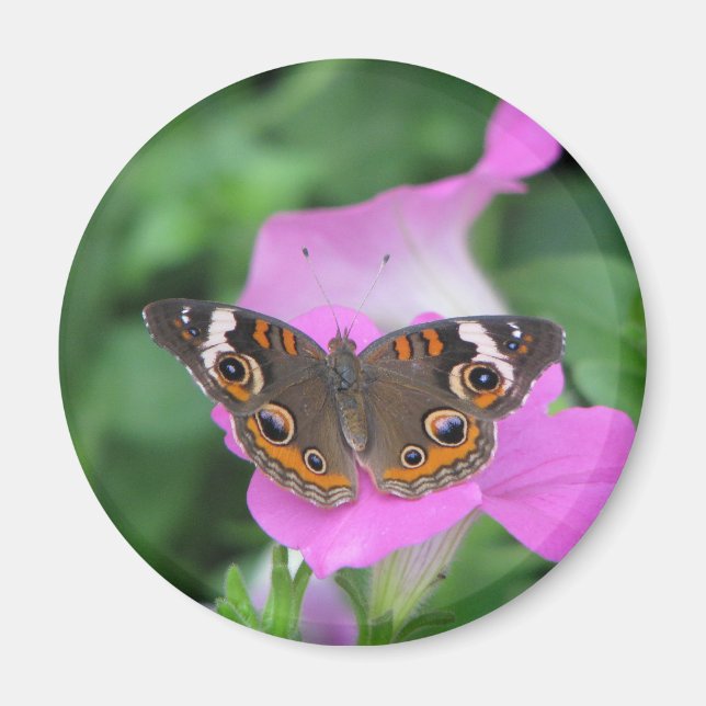 Butterfly Magnet (Front)