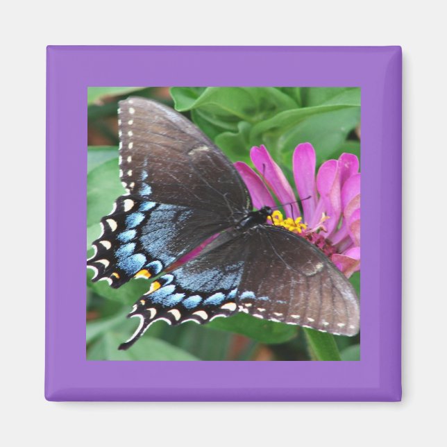Butterfly Magnet (Front)