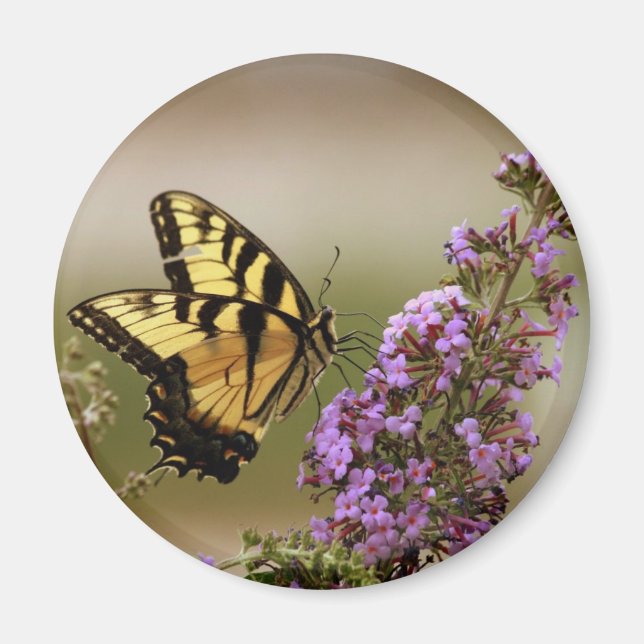 Butterfly Magnet (Front)