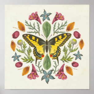 Butterfly Mandala Poster