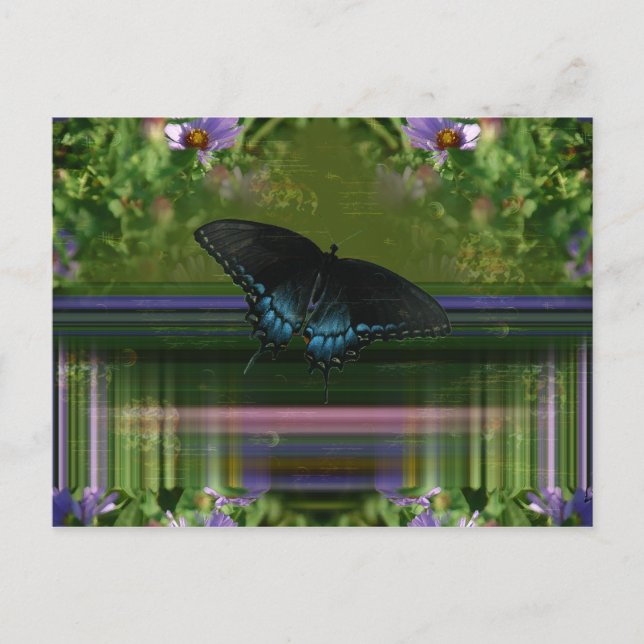 Butterfly Mantle Postcard (Front)