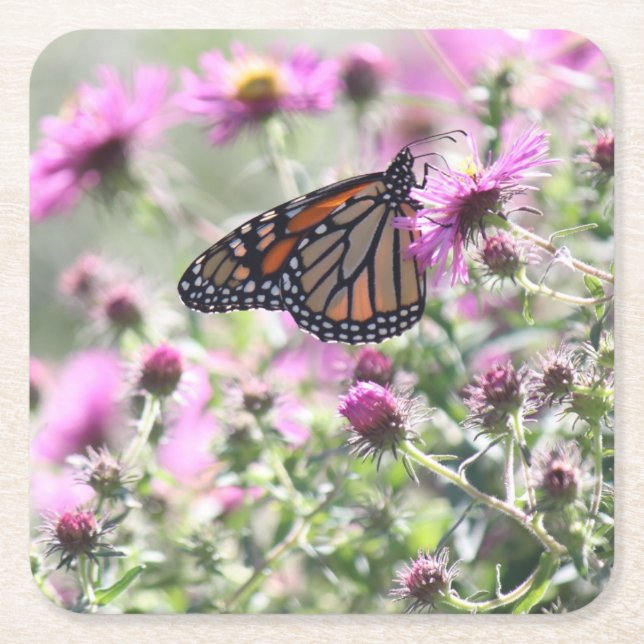 Butterfly Meadow Square Paper Coaster (Front)