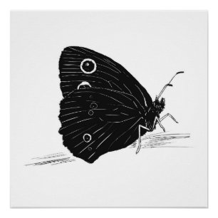 Butterfly Monochrome Print / Poster