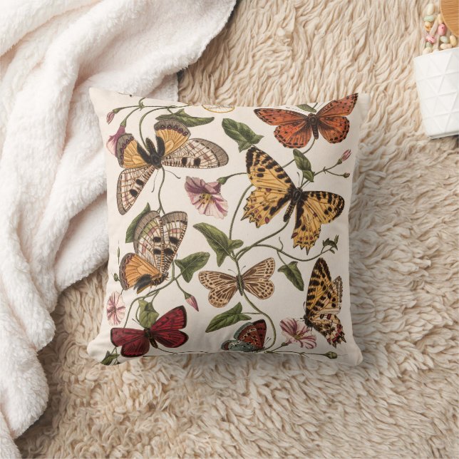 Butterfly &Moth by Paul Gervais Cushion (Blanket)