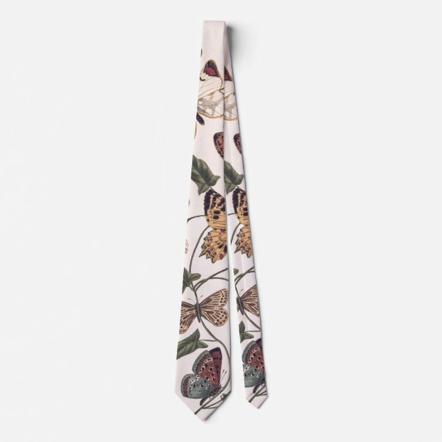 Butterfly & Moth by Paul Gervais Tie (Front)