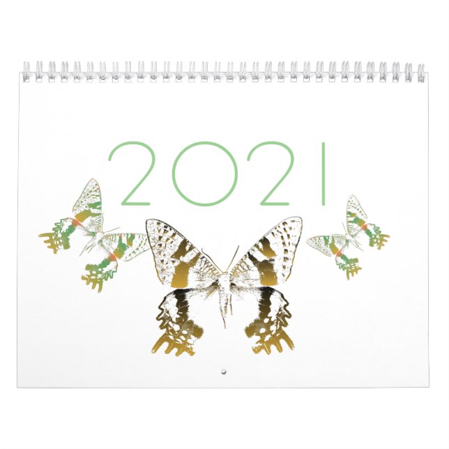 Butterfly - Moth Calendar (Cover)