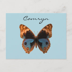 Butterfly Moth Insect Personalised Name Postcard