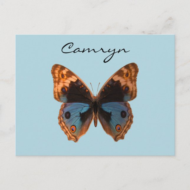 Butterfly Moth Insect Personalised Name Postcard (Front)
