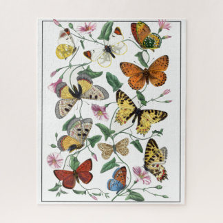 Butterfly & Moth  Le Jardin Des Plantes Gervais Jigsaw Puzzle