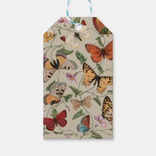 Butterfly Moth Nature Collection Drawing Gift Tags