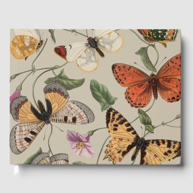 Butterfly Moth Nature Collection Drawing Guest Book (Front)