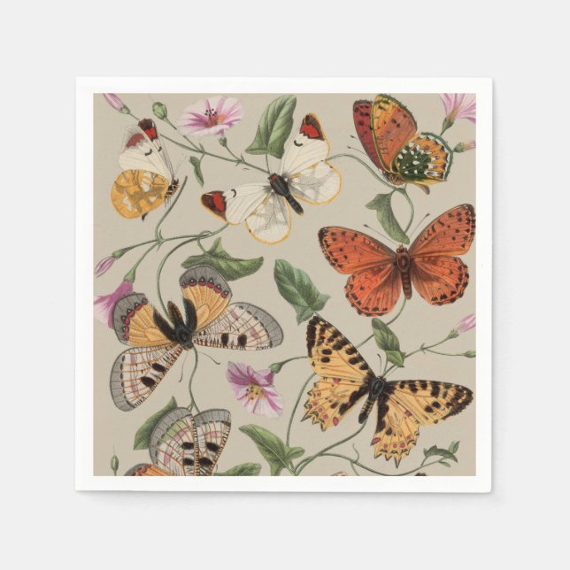 Butterfly Moth Nature Collection Drawing Napkin (Front)