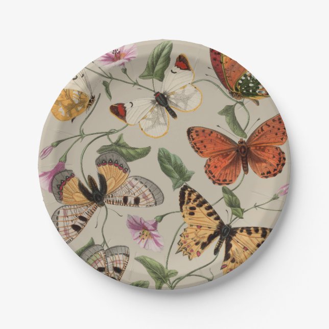 Butterfly Moth Nature Collection Drawing Paper Plate (Front)