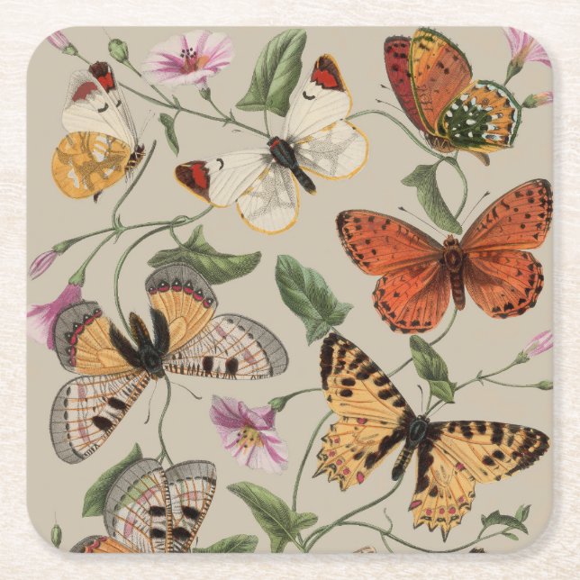 Butterfly Moth Nature Collection Drawing Square Paper Coaster (Front)