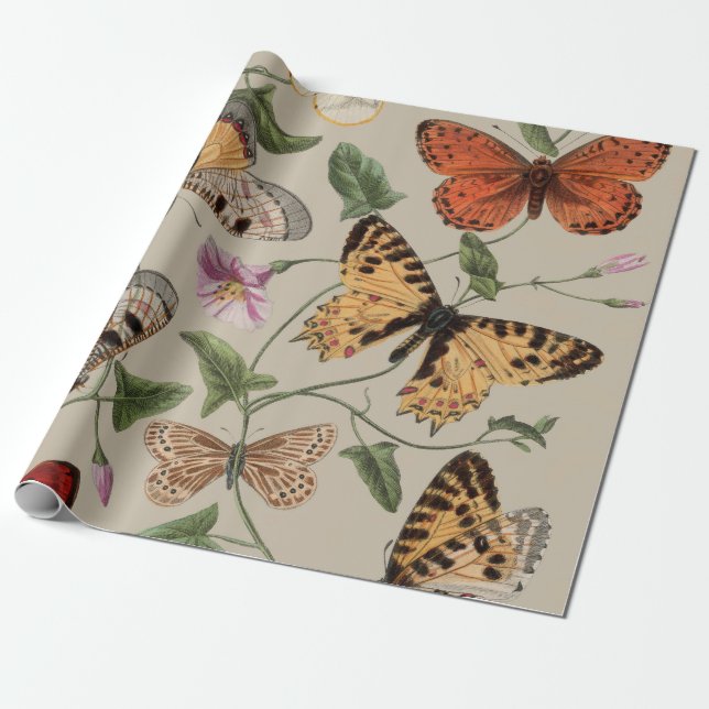 Butterfly Moth Nature Collection Drawing Wrapping Paper (Unrolled)