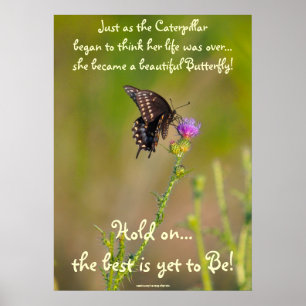 Butterfly Motivational Inspirational Photo Poster