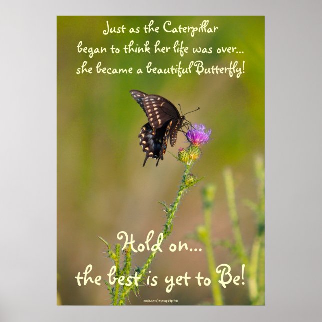 Butterfly Motivational Inspirational Photo Poster (Front)