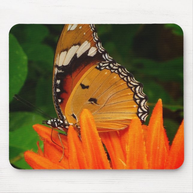 Butterfly Mouse Pad (Front)