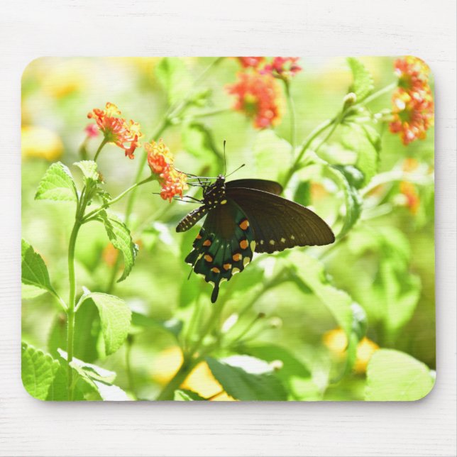 Butterfly Mouse pad (Front)