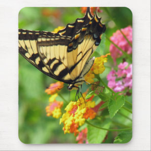 Butterfly Mouse Pad