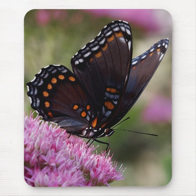 Butterfly mousepad (Front)