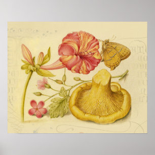 Butterfly, Mushroom and Flower Watercolor Poster
