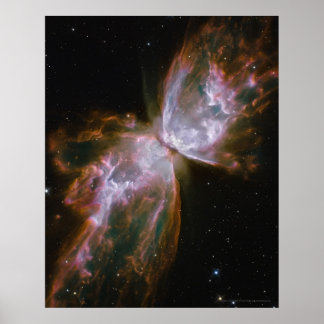 Butterfly Nebula 16x20 (12x16) Poster