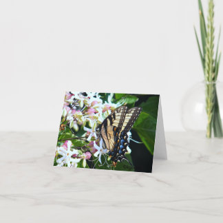 Butterfly Note Card