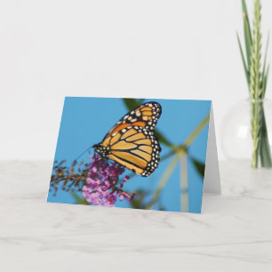 Butterfly Note Cards