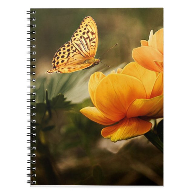 BUTTERFLY NOTEBOOK (Front)