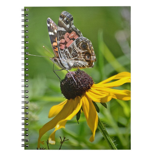 Butterfly Notebook (Front)