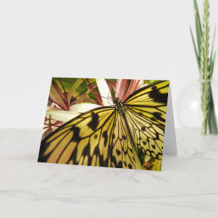 Butterfly Notecard