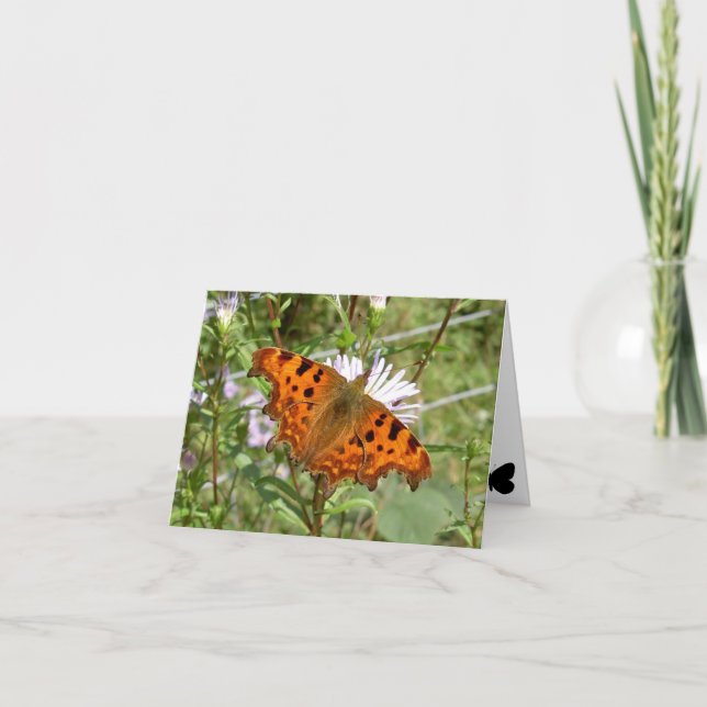 Butterfly Notecard - Comma (Front)