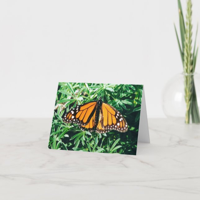 Butterfly notecards (Front)