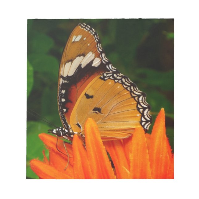 Butterfly Notepad (Front)