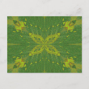 Butterfly Of The Green Postcard