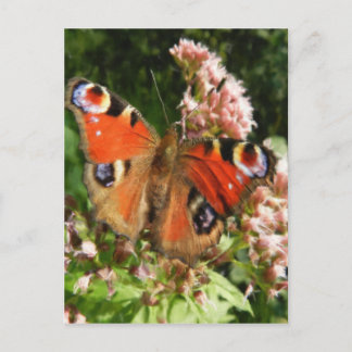Butterfly Oil Painting Postcard