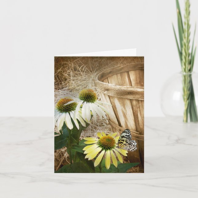 Butterfly On a Cone Flower  Card (Front)